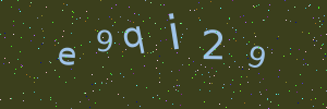 Validation image