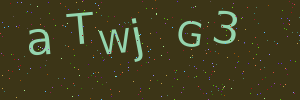 Validation image