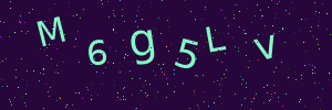 Validation image
