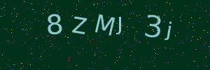 Validation image