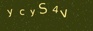 Validation image