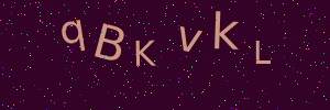 Validation image