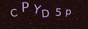 Validation image