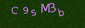 Validation image