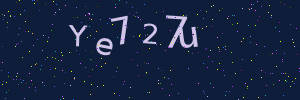 Validation image