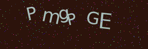 Validation image