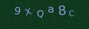 Validation image