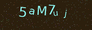 Validation image