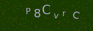 Validation image