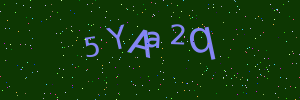 Validation image